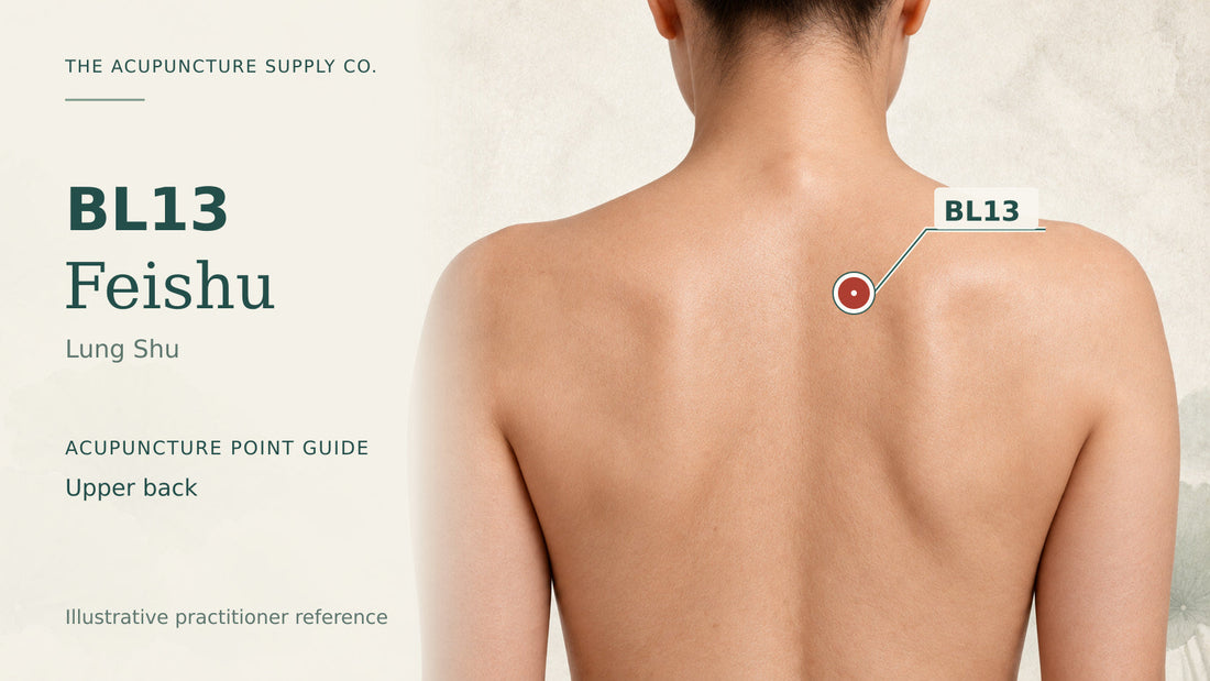 BL13 Feishu practitioner guide showing the upper thoracic back with a labelled location marker.