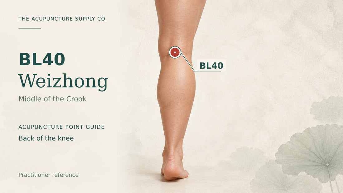 BL40 Weizhong: illustrated guide to the back of the knee, with a clearly marked point.