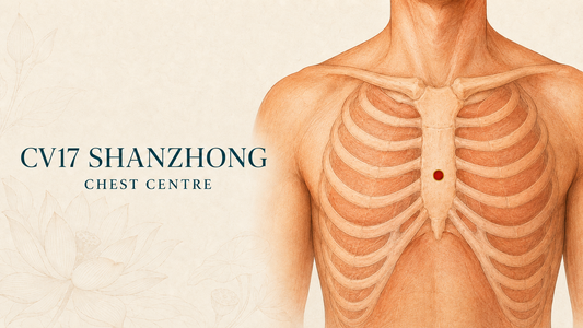 CV17 (Shanzhong / Chest Centre) Acupuncture Point Guide