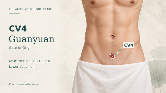 CV4 Guanyuan: illustrated guide to the lower abdomen, with a clearly marked point.