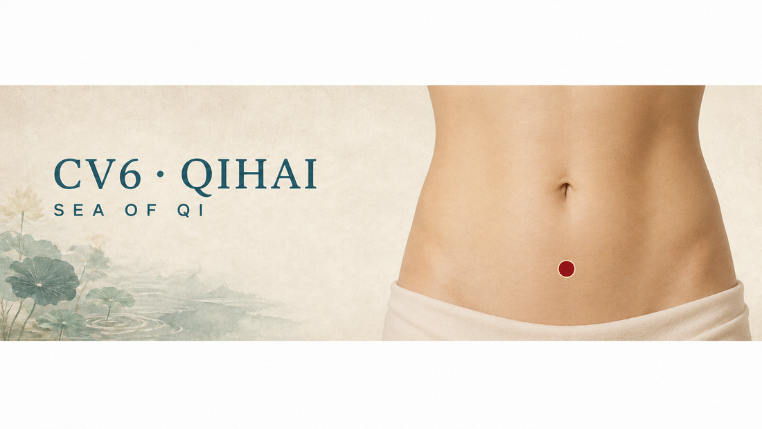 Lower abdomen showing CV6 Qihai on the anterior midline, 1.5 B-cun below the centre of the umbilicus.