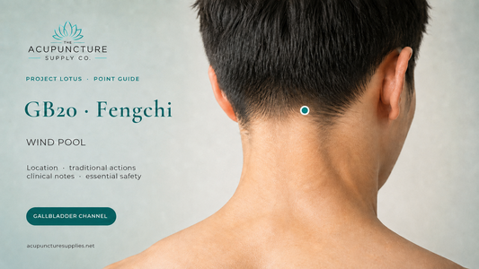 GB20 (Fengchi / Wind Pool) Acupuncture Point Guide: Location, Functions and Safety