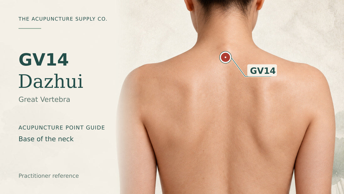 GV14 Dazhui: illustrated guide to the base of the neck, with a clearly marked point.