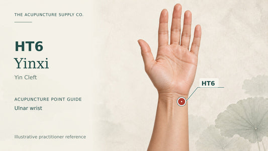 HT6 Yinxi practitioner guide showing the palmar aspect of the distal ulnar forearm with a labelled location marker.