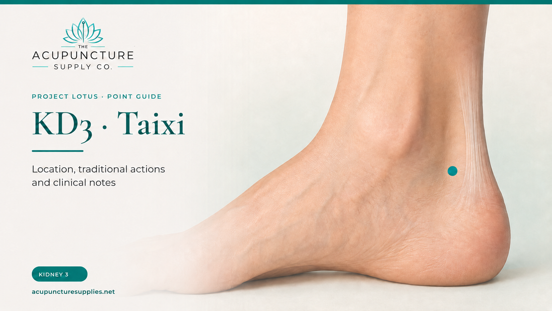 KD3 / KI3 Taixi Acupuncture Point Guide | Location & Functions