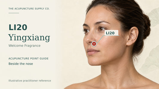 LI20 Yingxiang practitioner guide showing the nasolabial groove beside the nose with a labelled location marker.