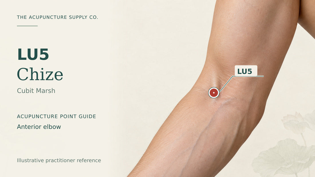 LU5 Chize practitioner guide showing the anterior elbow with a labelled location marker.