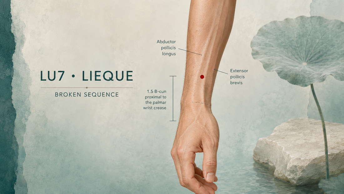 LU7 Lieque Acupuncture Point Guide | Location & Safety