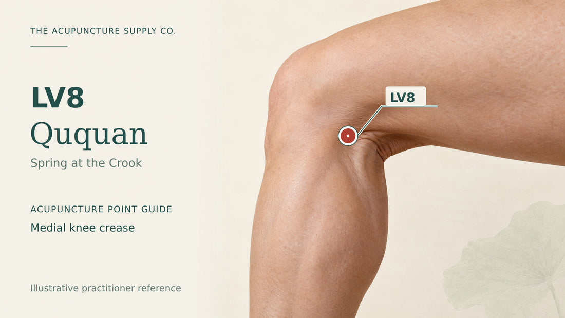 LV8 Ququan practitioner guide showing the medial end of the popliteal crease with a labelled location marker.