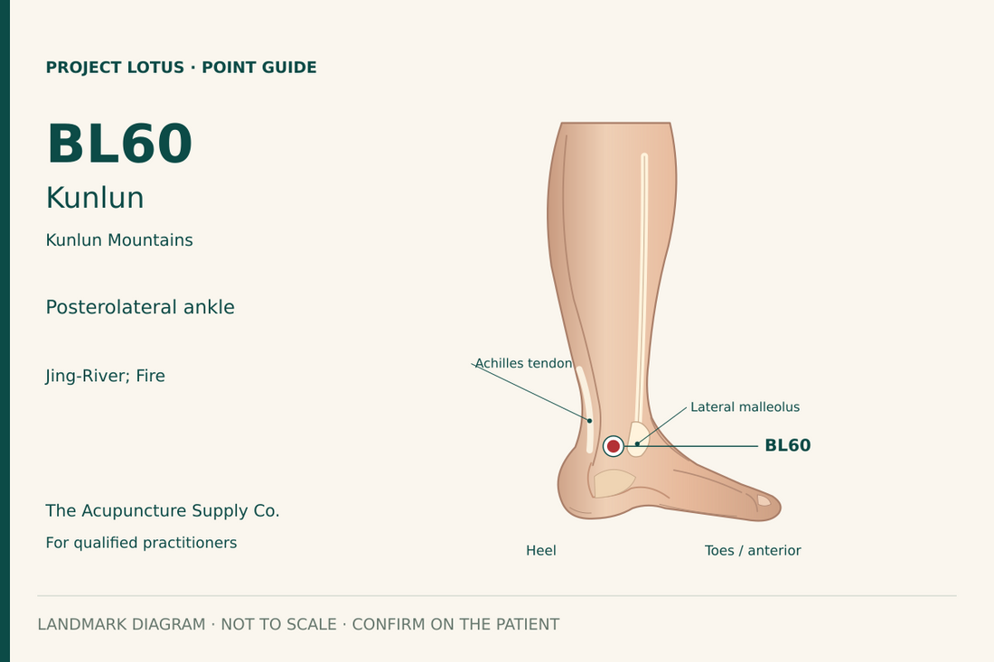 BL60 Kunlun: At the outer ankle, in the depression between the lateral malleolar prominence and the Achilles tendon. Landmark diagram; not to scale.