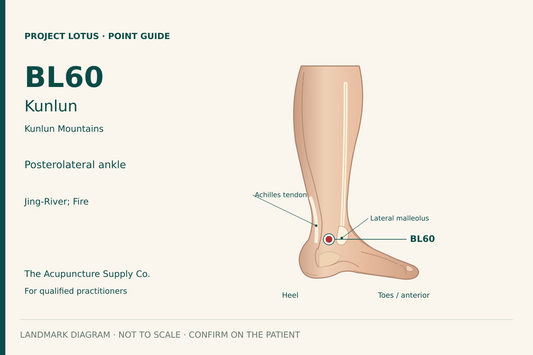 BL60 Kunlun: At the outer ankle, in the depression between the lateral malleolar prominence and the Achilles tendon. Landmark diagram; not to scale.