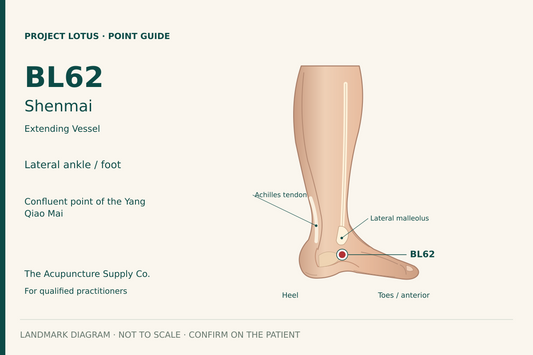 BL62 Shenmai: In the outer-foot hollow directly below the lateral malleolus, between its inferior border and the calcaneus. Landmark diagram; not to scale.