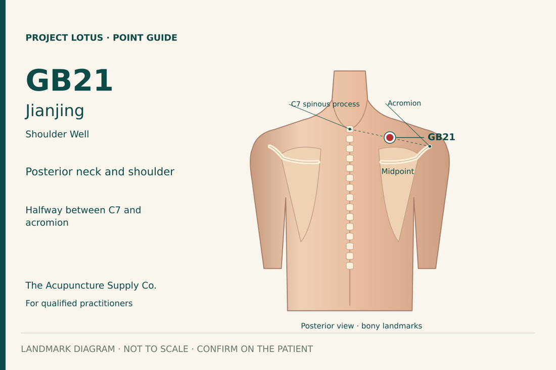 GB21 Jianjing: At the midpoint of the line connecting the C7 spinous process with the lateral end of the acromion. Identify both bony landmarks by palpation. Landmark diagram; not to scale.