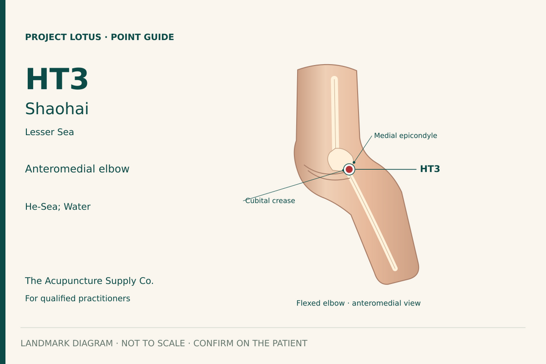 HT3 Shaohai: At the front-and-inner elbow, just anterior to the medial humeral epicondyle, at cubital-crease level. With the elbow flexed, use the midpoint between the medial crease end and the epicondyle. Landmark diagram; not to scale.