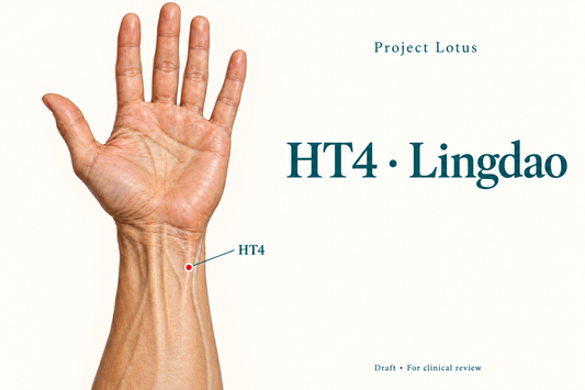 HT4 Lingdao: At the palm-facing little-finger side, locate the radial side of the flexor carpi ulnaris tendon, one and a half B-cun towards the elbow from the wrist crease. Landmark schematic; not to scale.