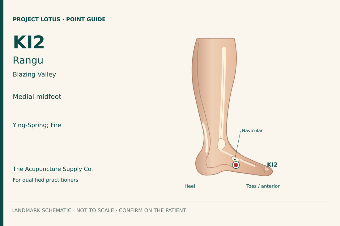 KI2 Rangu: On the inner edge of the foot, find the depression immediately below the navicular prominence at the dorsal–plantar skin boundary. Landmark schematic; not to scale.