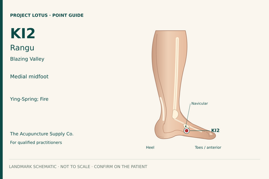 KI2 Rangu: On the inner edge of the foot, find the depression immediately below the navicular prominence at the dorsal–plantar skin boundary. Landmark schematic; not to scale.