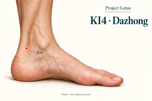 KI4 Dazhong: Behind and below the inner ankle bone, find the hollow above the heel bone and immediately in front of the medial Achilles attachment. Landmark schematic; not to scale.