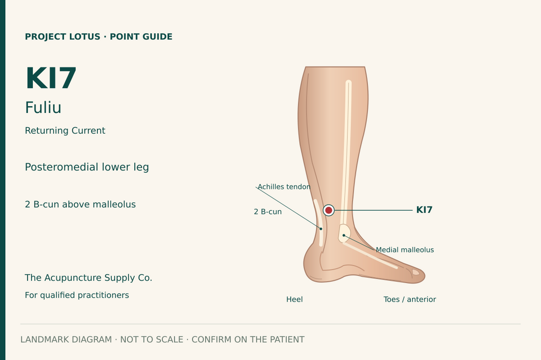 KI7 Fuliu: On the inner-back lower leg, just anterior to the Achilles tendon, 2 B-cun above the medial malleolar prominence. Landmark diagram; not to scale.