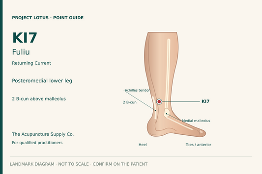 KI7 Fuliu: On the inner-back lower leg, just anterior to the Achilles tendon, 2 B-cun above the medial malleolar prominence. Landmark diagram; not to scale.