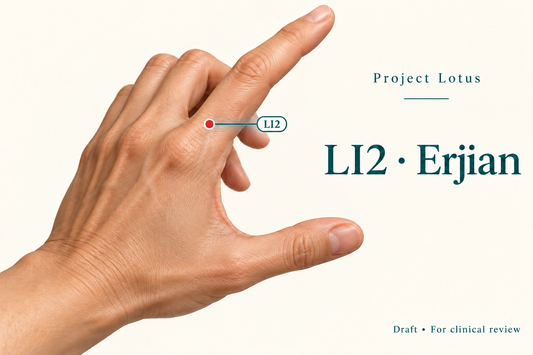 LI2 Erjian: Find the hollow on the thumb-facing side of the index finger, immediately beyond its knuckle towards the fingertip, at the palmar–dorsal skin boundary. Landmark schematic; not to scale.