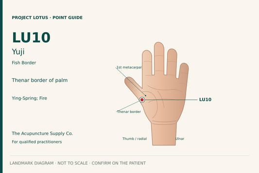 LU10 Yuji: At the thumb-side border of the palm, beside the midpoint of the first metacarpal, where palmar and dorsal skin meet. Landmark diagram; not to scale.