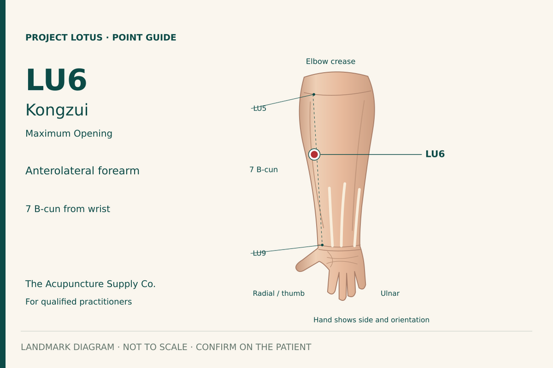 LU6 Kongzui: On the palm-facing, thumb-side forearm, along the LU5–LU9 line, 7 B-cun proximal to the palmar wrist crease. Landmark diagram; not to scale.