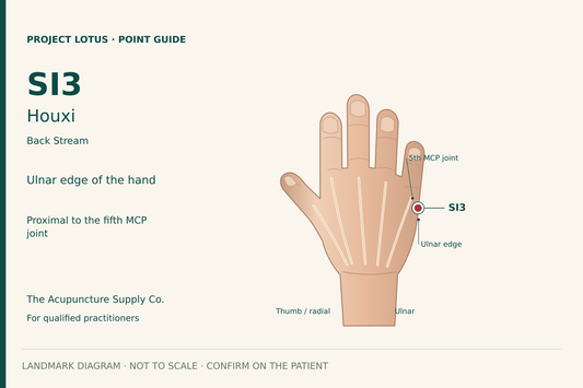 SI3 Houxi: On the dorsum of the hand, proximal to the ulnar side of the fifth metacarpophalangeal joint, at the palmar–dorsal skin boundary. Confirm with the hand slightly flexed. Landmark diagram; not to scale.