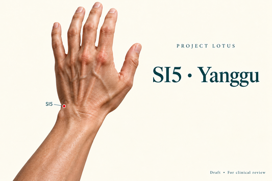 SI5 Yanggu: At the back and little-finger side of the wrist, palpate the hollow separating the triquetrum from the ulnar styloid. Landmark schematic; not to scale.