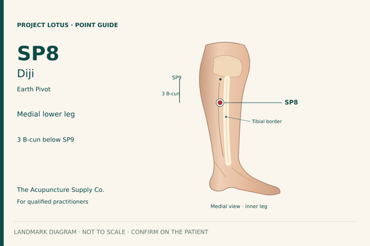 SP8 Diji: On the inner lower leg, just behind the medial tibial border, 3 B-cun distal to SP9. Landmark diagram; not to scale.