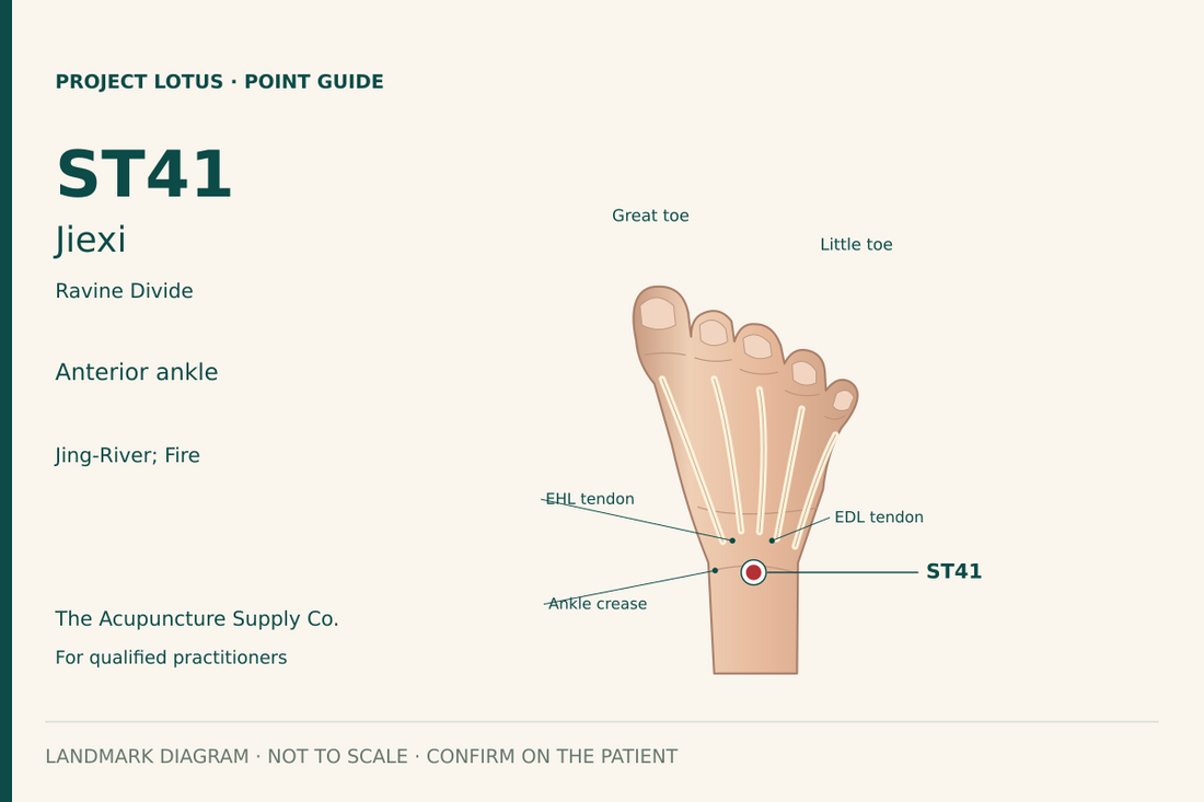 ST41 Jiexi: At the front of the ankle joint, in the depression between the extensor hallucis longus and extensor digitorum longus tendons. Landmark diagram; not to scale.