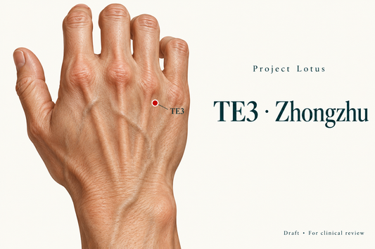 TE3 Zhongzhu: On the back of the hand, find the hollow between the fourth and fifth metacarpals just wristward of the ring-finger knuckle. Landmark schematic; not to scale.