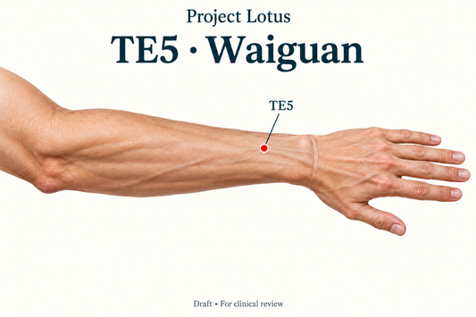 TE5 Waiguan: Two B-cun above the dorsal wrist crease, locate the centre of the gap between the radius and ulna on the back of the forearm. Landmark schematic; not to scale.