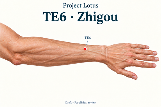TE6 Zhigou: Three B-cun above the dorsal wrist crease, locate the centre of the gap between the radius and ulna on the back of the forearm. Landmark schematic; not to scale.