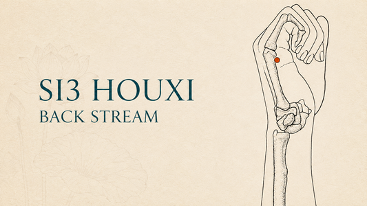 SI3 (Houxi / Back Stream) Acupuncture Point Guide: Location, Functions and Safety