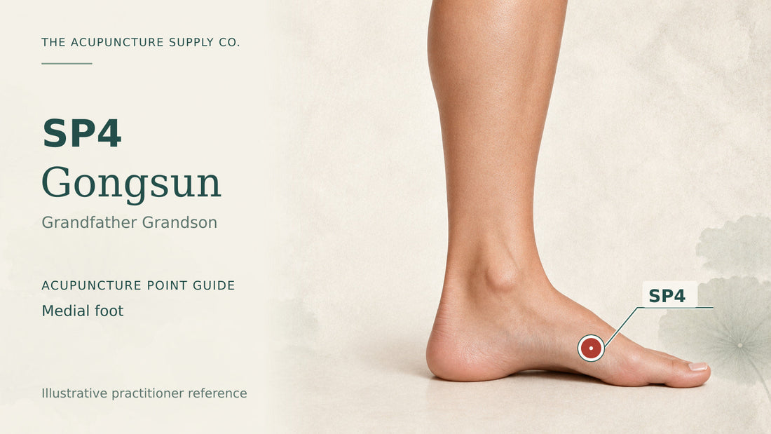 SP4 Gongsun practitioner guide showing the medial foot with a labelled location marker.