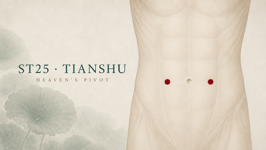 Anterior abdomen showing bilateral ST25 Tianshu, 2 B-cun lateral to the centre of the umbilicus.