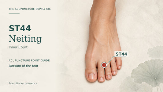 ST44 Neiting: illustrated guide to the dorsum of the foot, with a clearly marked point.