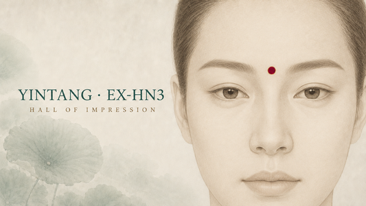 Frontal face showing Yintang EX-HN3 at the midpoint between the medial ends of the eyebrows.