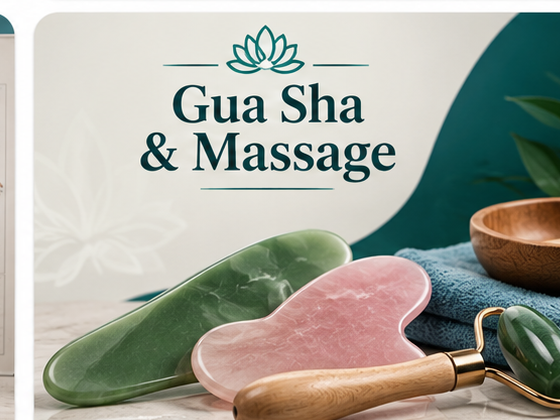 Gua Sha The Acupuncture Supply Co