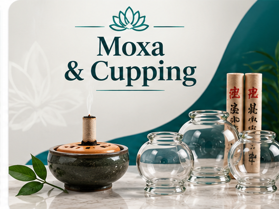 Premium Moxibustion Products & Cupping Supplies Moxa & Cupping The Acupuncture Supply Co