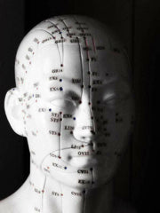 Acupuncture Head Model 22cm The Acupuncture Supply Co