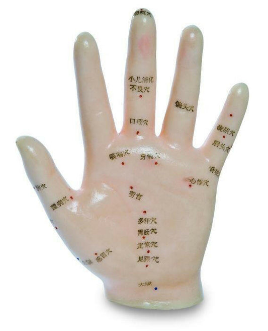 Modello a mano 13 cm